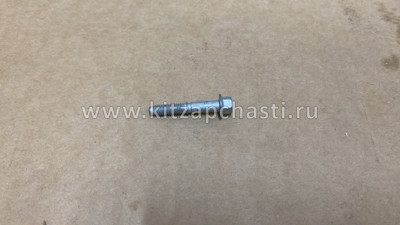 Болт крышки клапанной Chery Tiggo 8 Pro MAX 481H-1003043